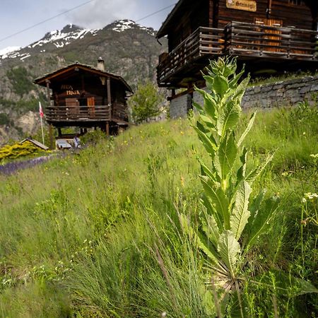 Korn-Stadel Arida Prata "Natur Pur" Грахен Экстерьер фото
